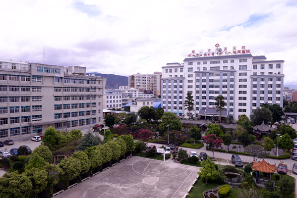 保山市中医医院(图1)