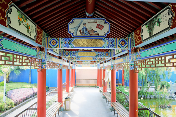 中医药文化长廊(图1)