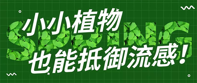 小小植物，也能抵御流感！(图1)
