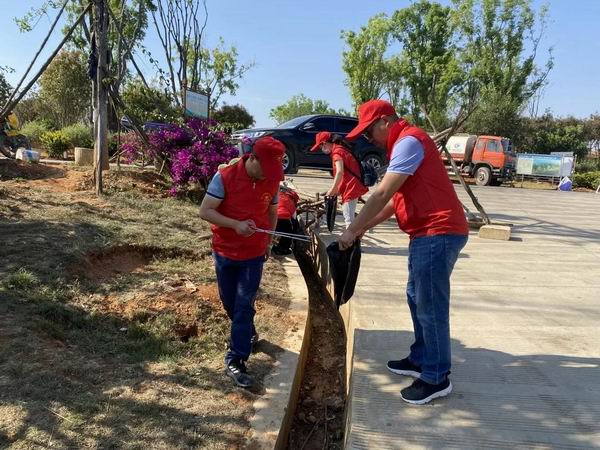 创建全国文明城市║“爱护环境美化家园”我们在行动(图5) 创建全国文明城市║“爱护环境美化家园”我们在行动(图5)